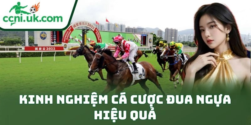 Kinh Nghiệm Cá Cược Đua Ngựa – Bí Quyết Thắng Kèo Đỉnh 2 Kinh nghiệm cá cược đua ngựa hiệu quả