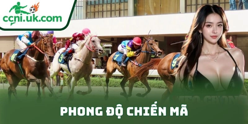 Mẹo Chọn Ngựa Trong Cá Cược Đua Ngựa Để Thắng Lớn 1 Phong độ chiến mã
