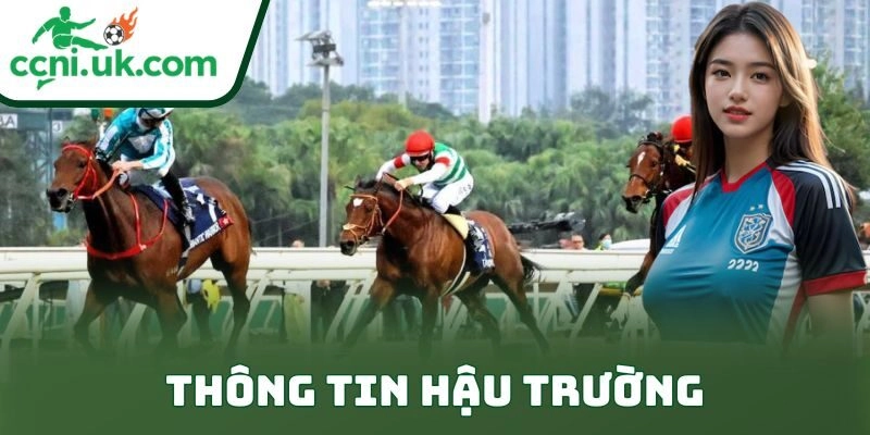 Mẹo Chọn Ngựa Trong Cá Cược Đua Ngựa Để Thắng Lớn 3 Thông tin hậu trường