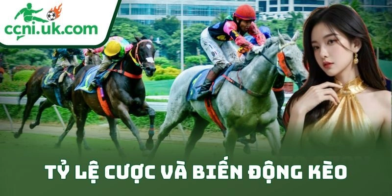Mẹo Chọn Ngựa Trong Cá Cược Đua Ngựa Để Thắng Lớn 2 Tỷ lệ cược và biến động kèo