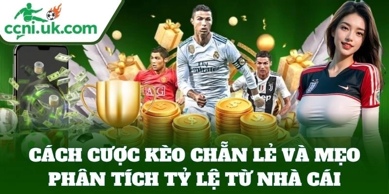 Cách Cược Kèo Chẵn Lẻ Chuẩn - Bí Kíp Dễ Chơi Dễ Thắng 4 Cách Cược Kèo Chẵn Lẻ Chuẩn – Bí Kíp Dễ Chơi Dễ Thắng