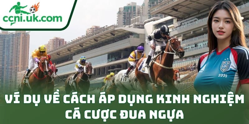 Kinh Nghiệm Cá Cược Đua Ngựa – Bí Quyết Thắng Kèo Đỉnh 3 Ví dụ về cách áp dụng kinh nghiệm cá cược đua ngựa