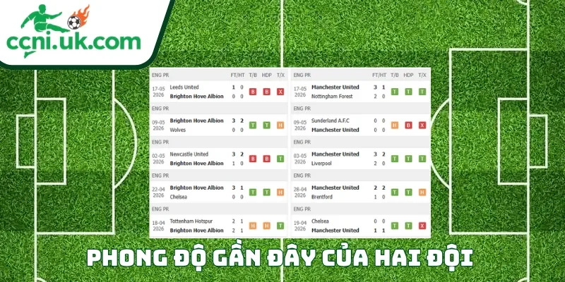 Soi Kèo Brighton vs Man United (22h00 ngày 24/05) Premier League 1 Phong độ của mỗi CLB trước trận đấu Brighton vs Man United
